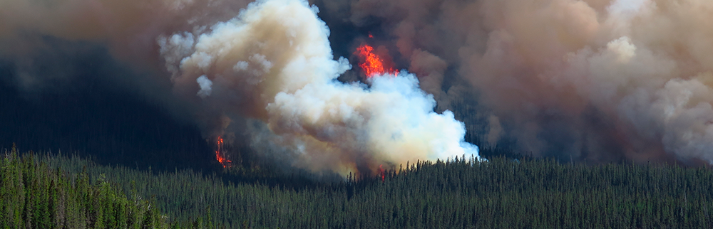 Wildfire Smoke: How to Stay Safe and Healthy